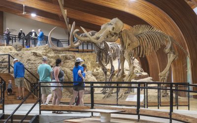 Mammoth Site Awarded Re-Accreditation from the American Alliance of Museums